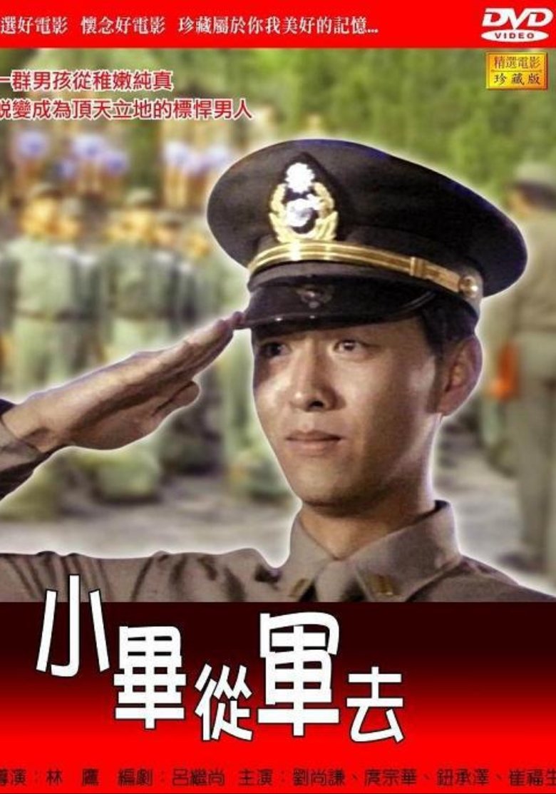 Poster of 小毕从军去