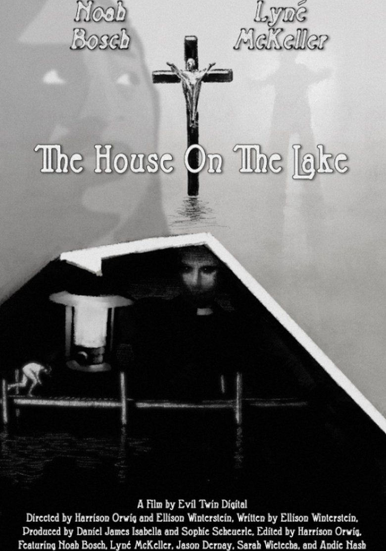 Poster of The House On The Lake