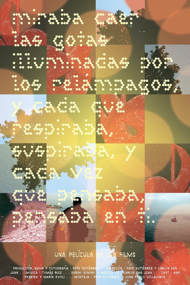 Poster of Miraba caer las gotas iluminadas por los relámpagos, y cada que respiraba suspiraba, y cada vez que pensaba, pensaba en ti