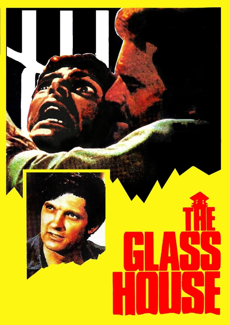 Poster of The Glass House