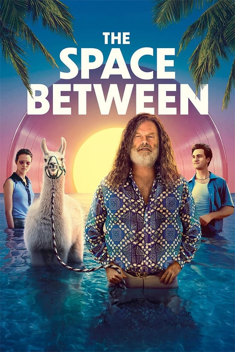 Poster of The Space Between