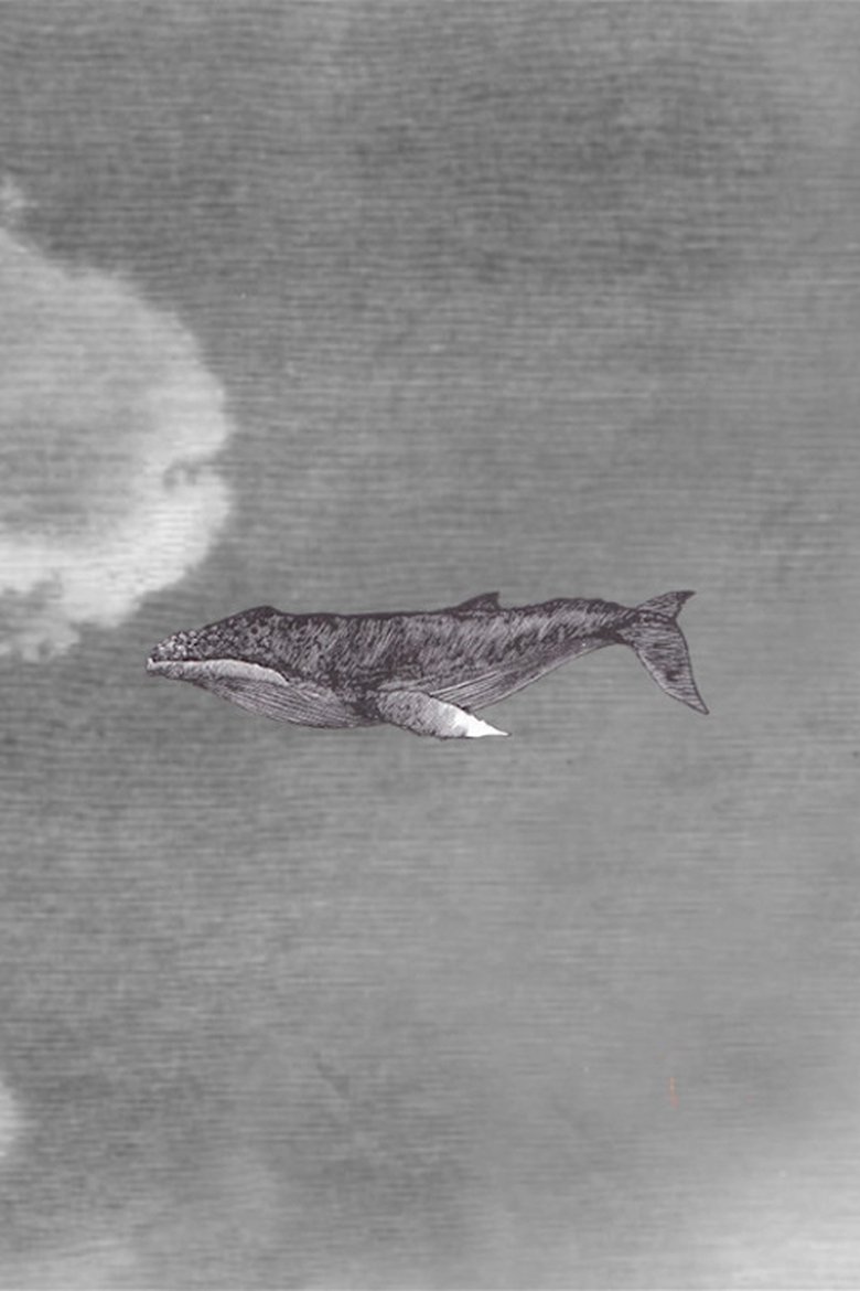 Poster of WWW {The Whale Who Wasn't}