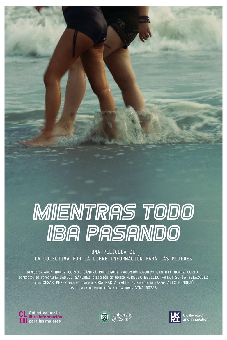 Poster of Mientras todo iba pasando