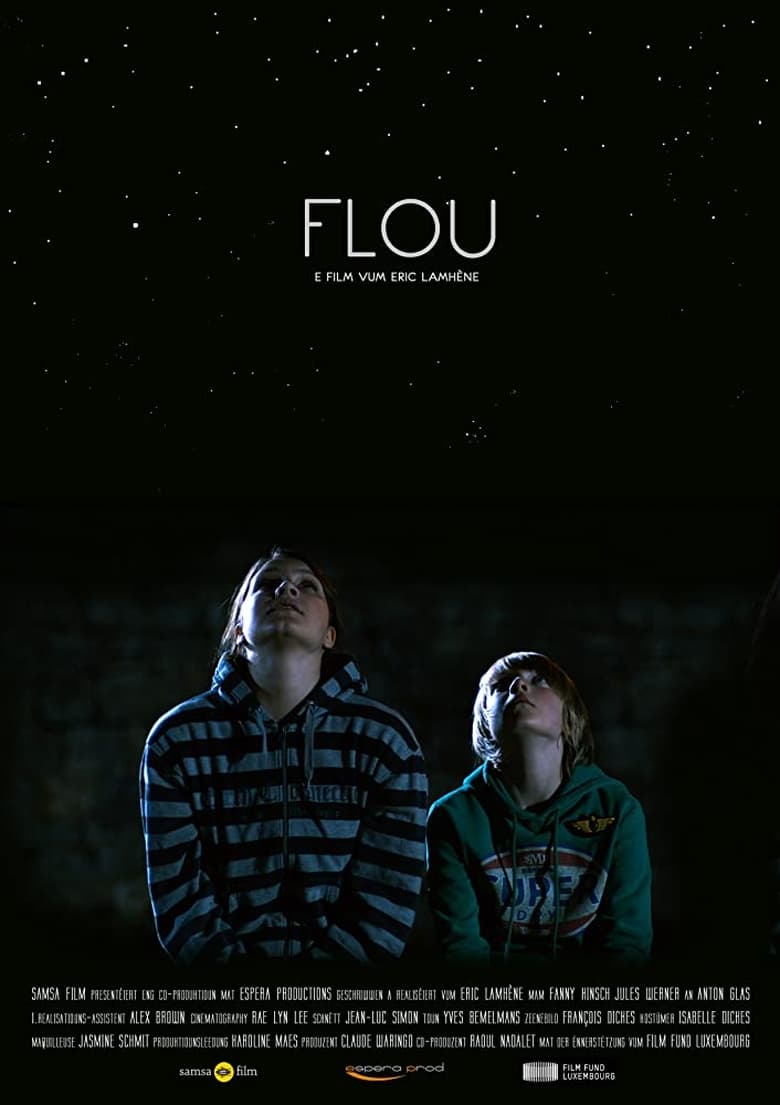 Poster of Flou