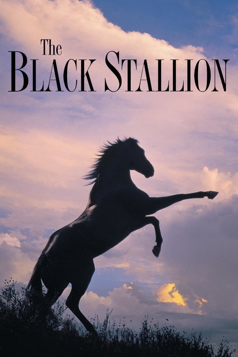 Poster of The Black Stallion