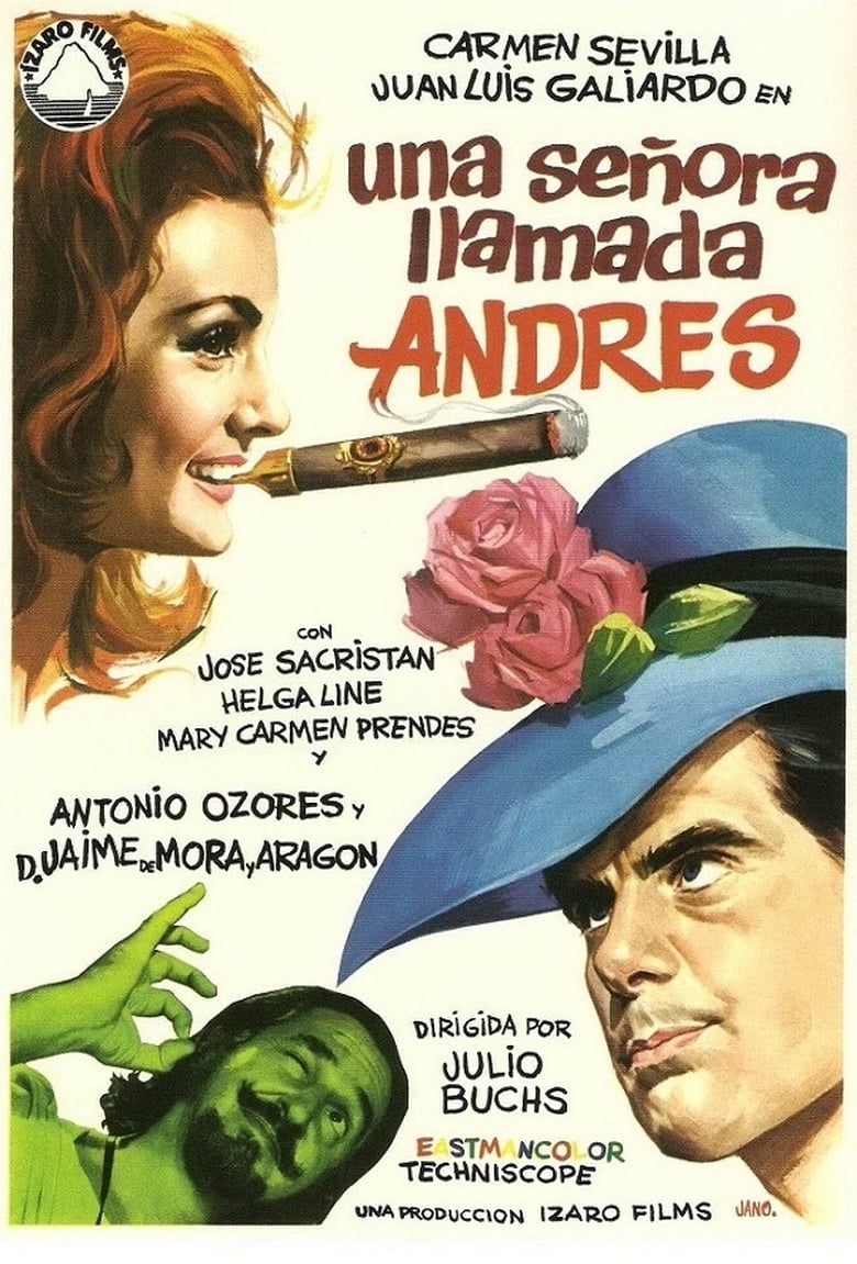 Poster of A Lady Called Andrew