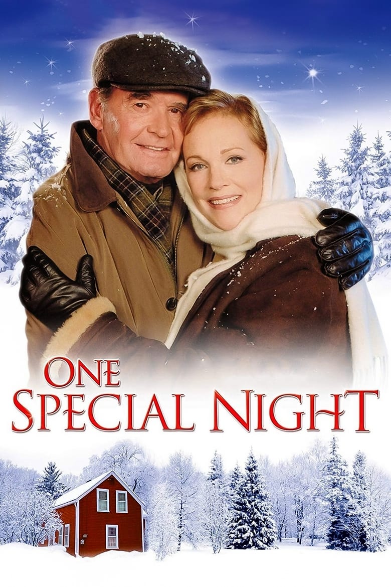 Poster of One Special Night