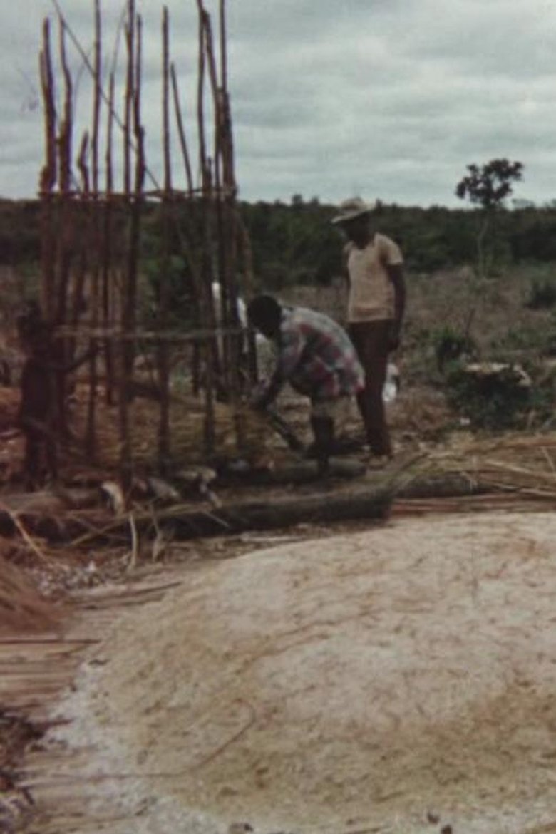 Poster of Making Toasted Cassava Flour
