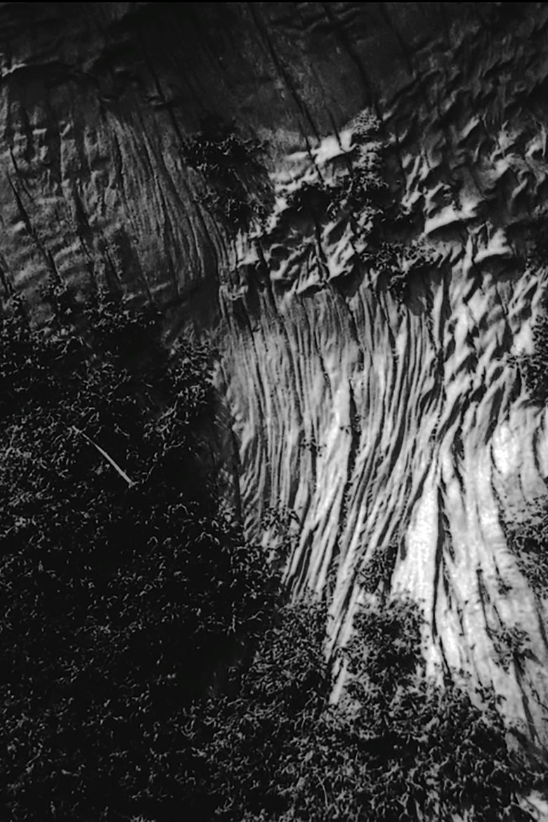 Poster of Black River