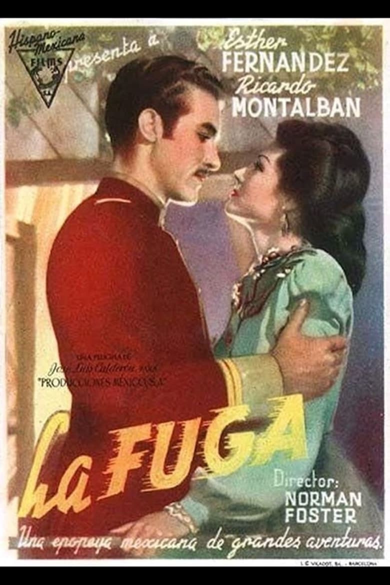 Poster of La Fuga