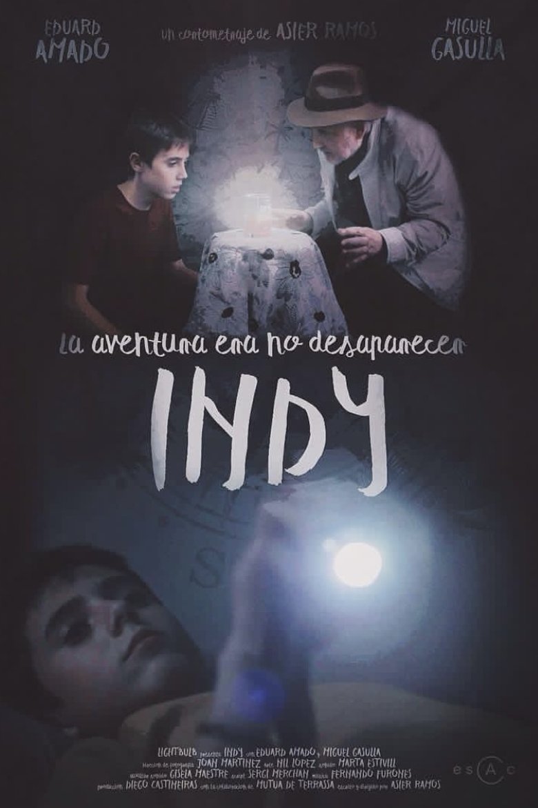 Poster of INDY
