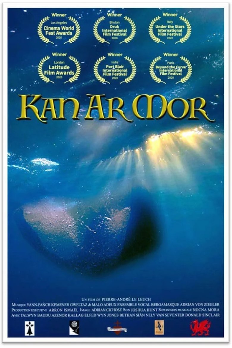 Poster of The song of the sea