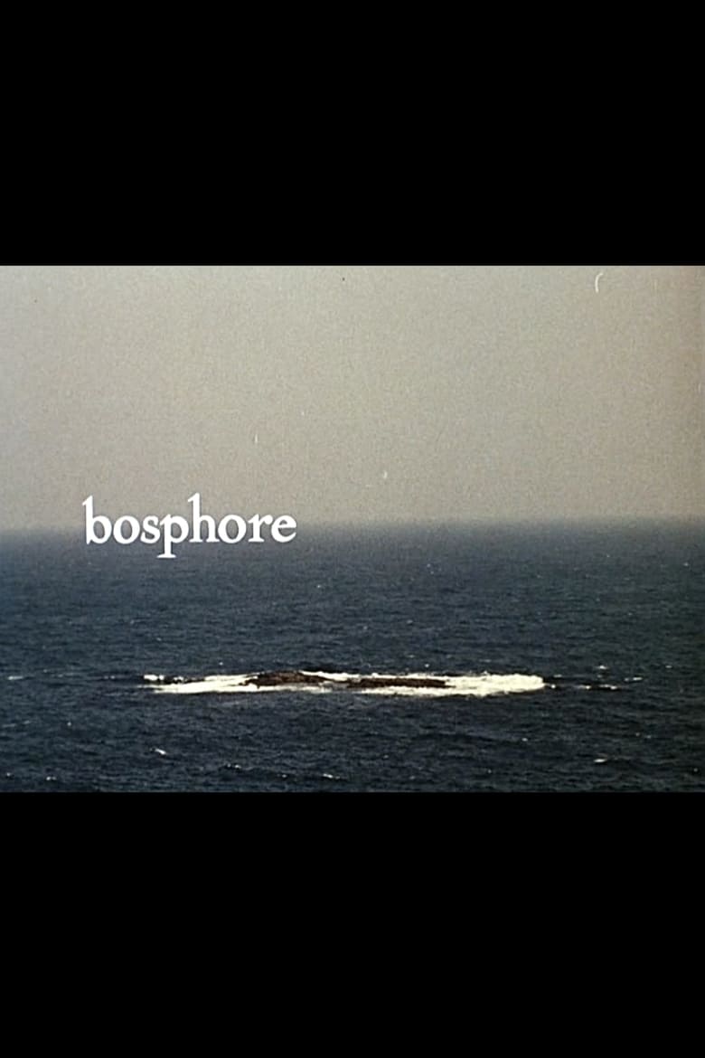 Poster of Bosphore