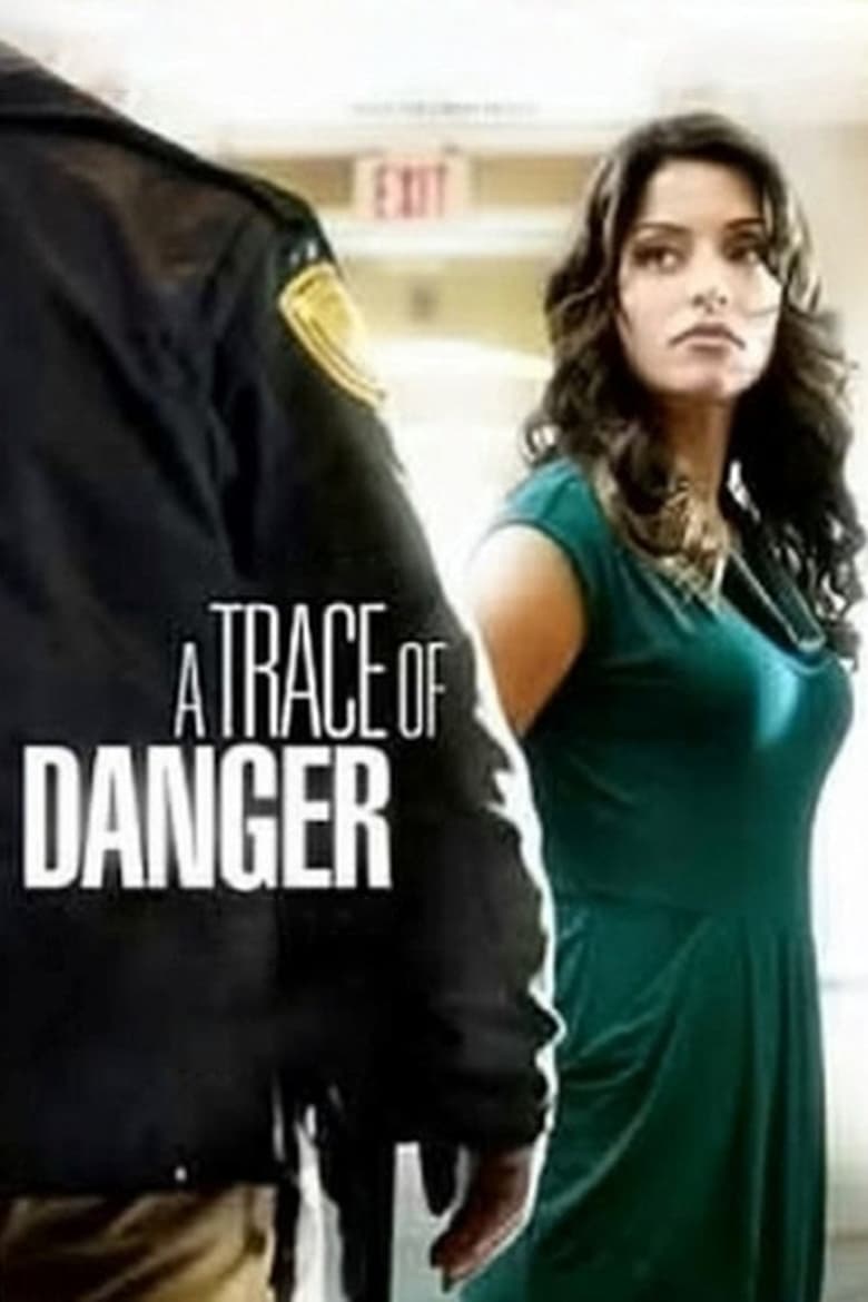 Poster of A Trace of Danger