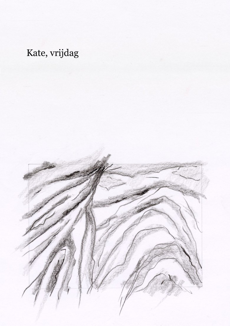 Poster of Kate, vrijdag
