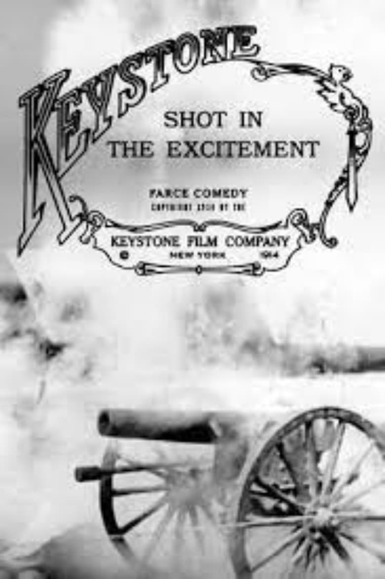 Poster of Shot in the Excitement