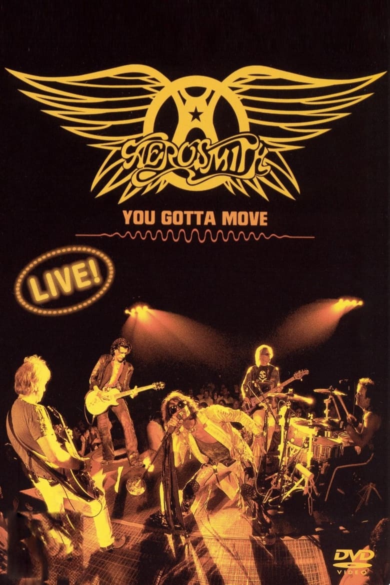 Poster of Aerosmith - You Gotta Move