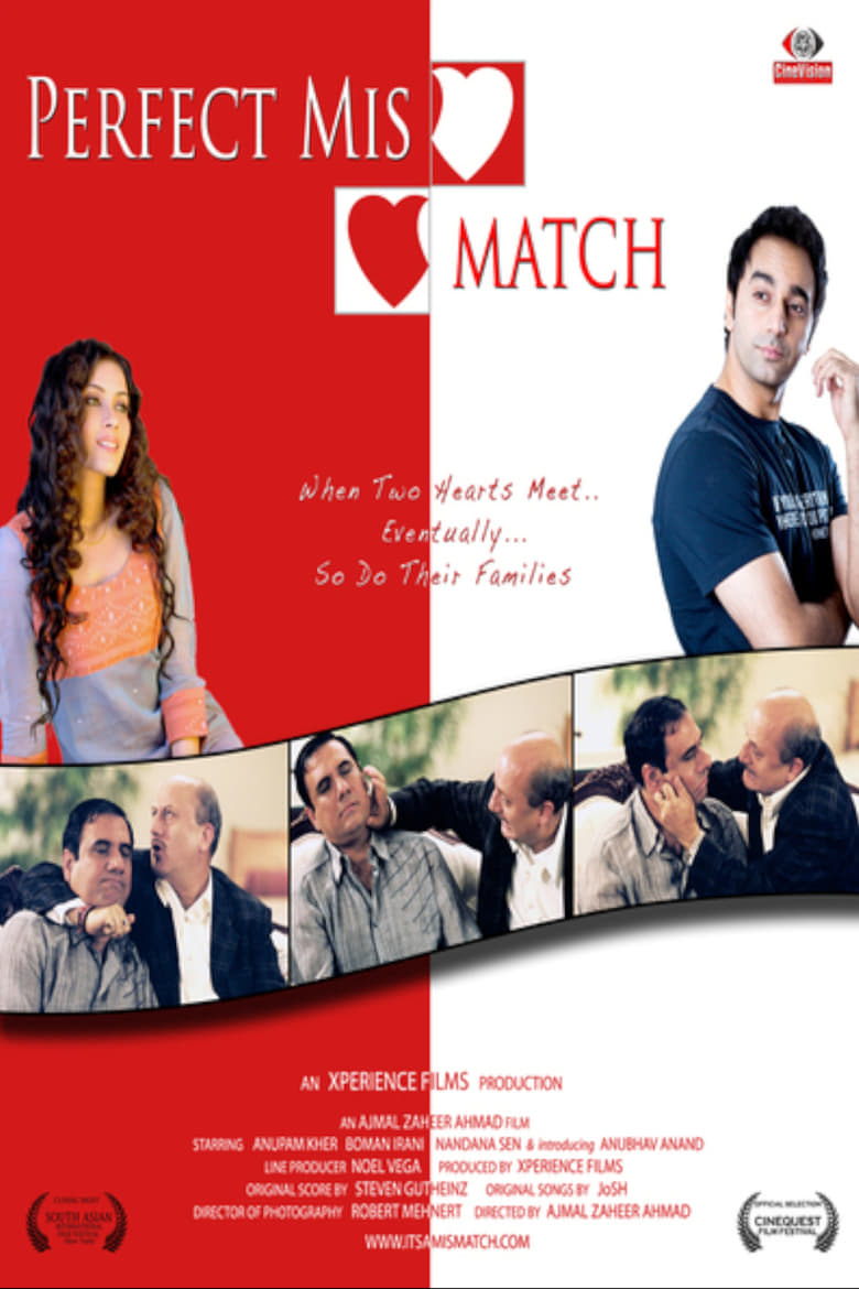 Poster of Perfect Mismatch