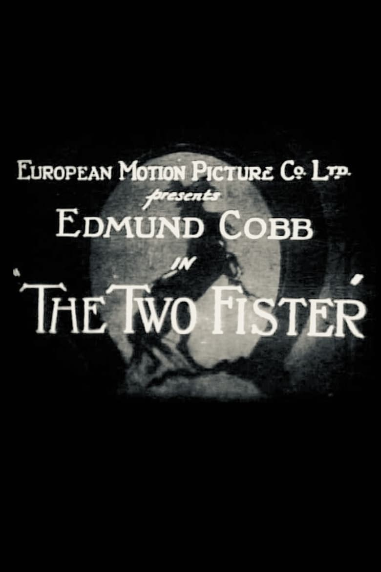 Poster of The Two Fister