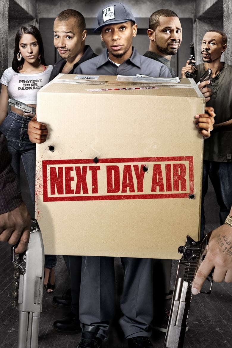 Poster of Next Day Air