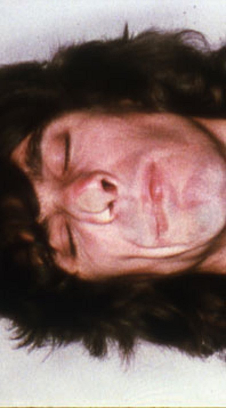 Poster of Glass Face