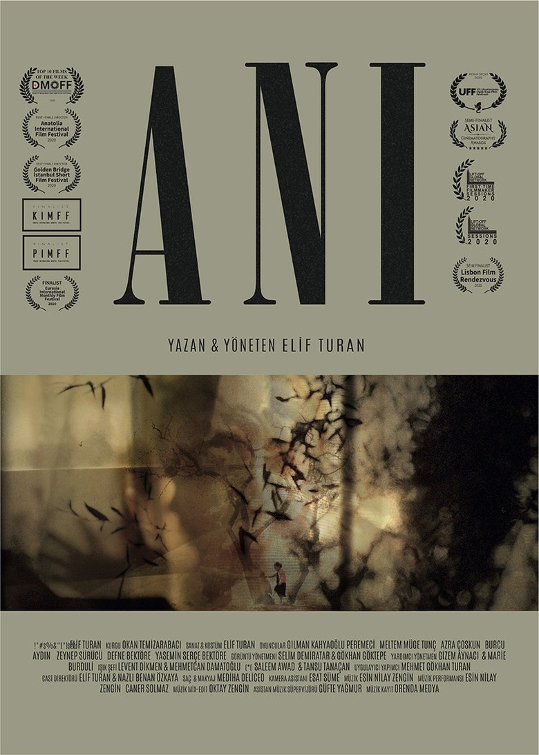 Poster of Memory