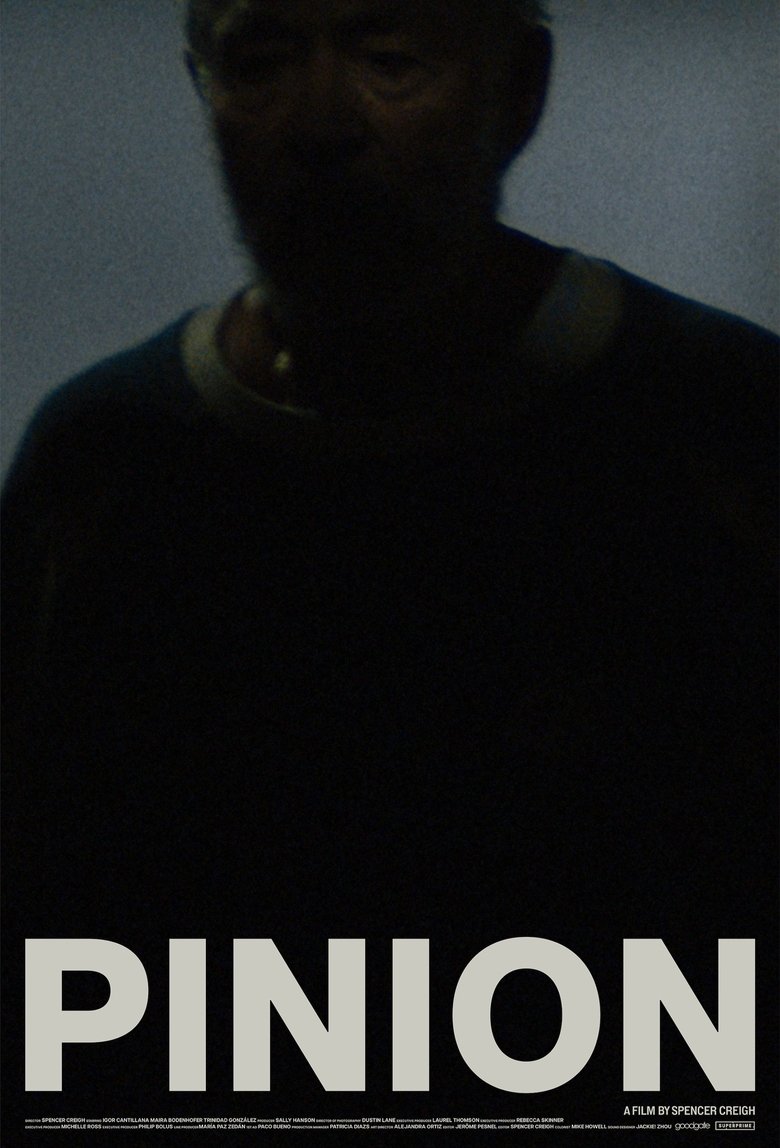 Poster of Pinion