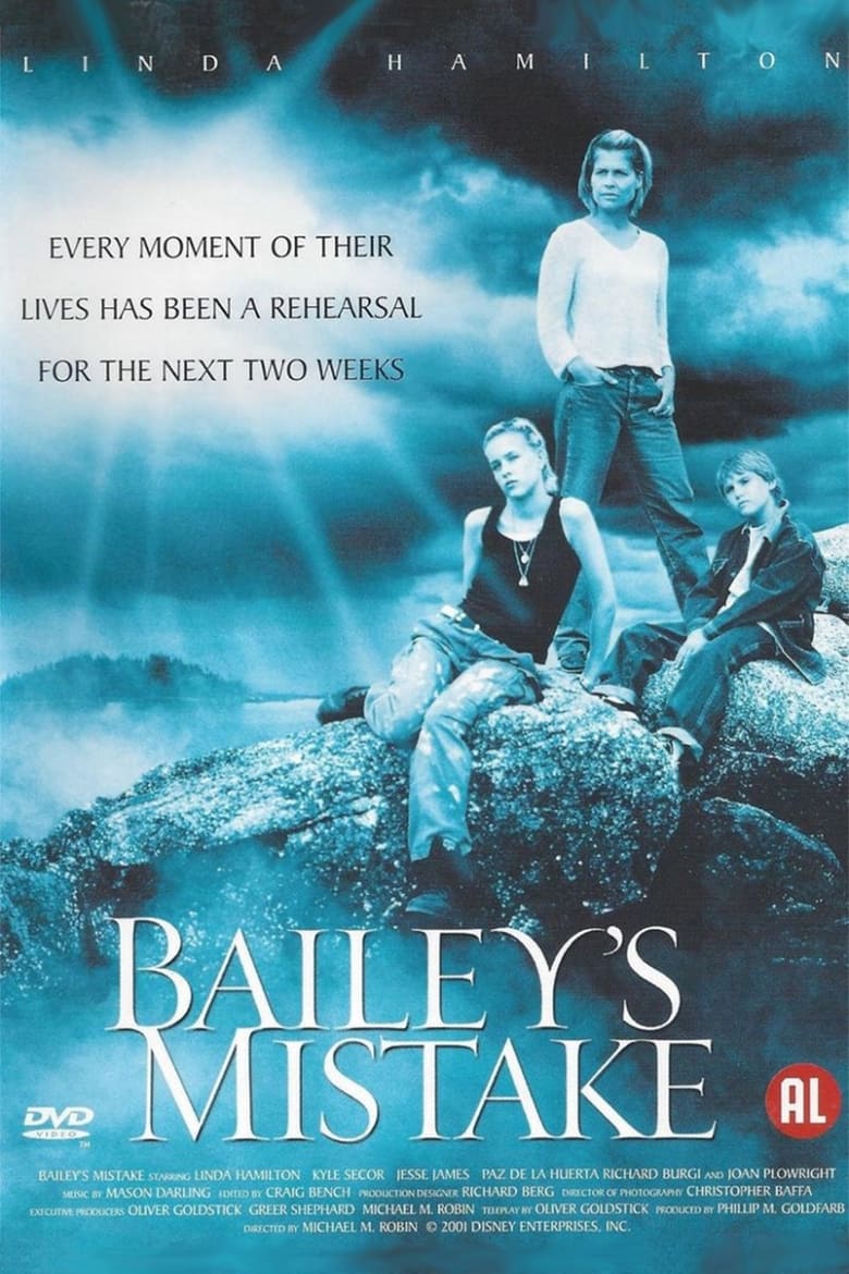 Poster of Bailey's Mistake