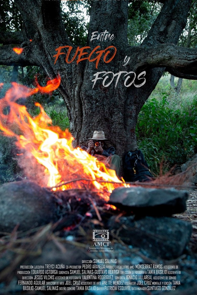 Poster of Entre fuego y fotos