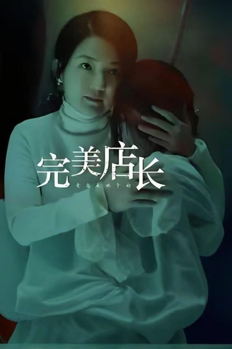 Poster of 完美店长