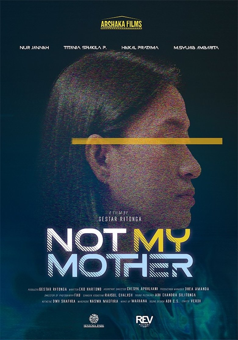 Poster of Not My Mother