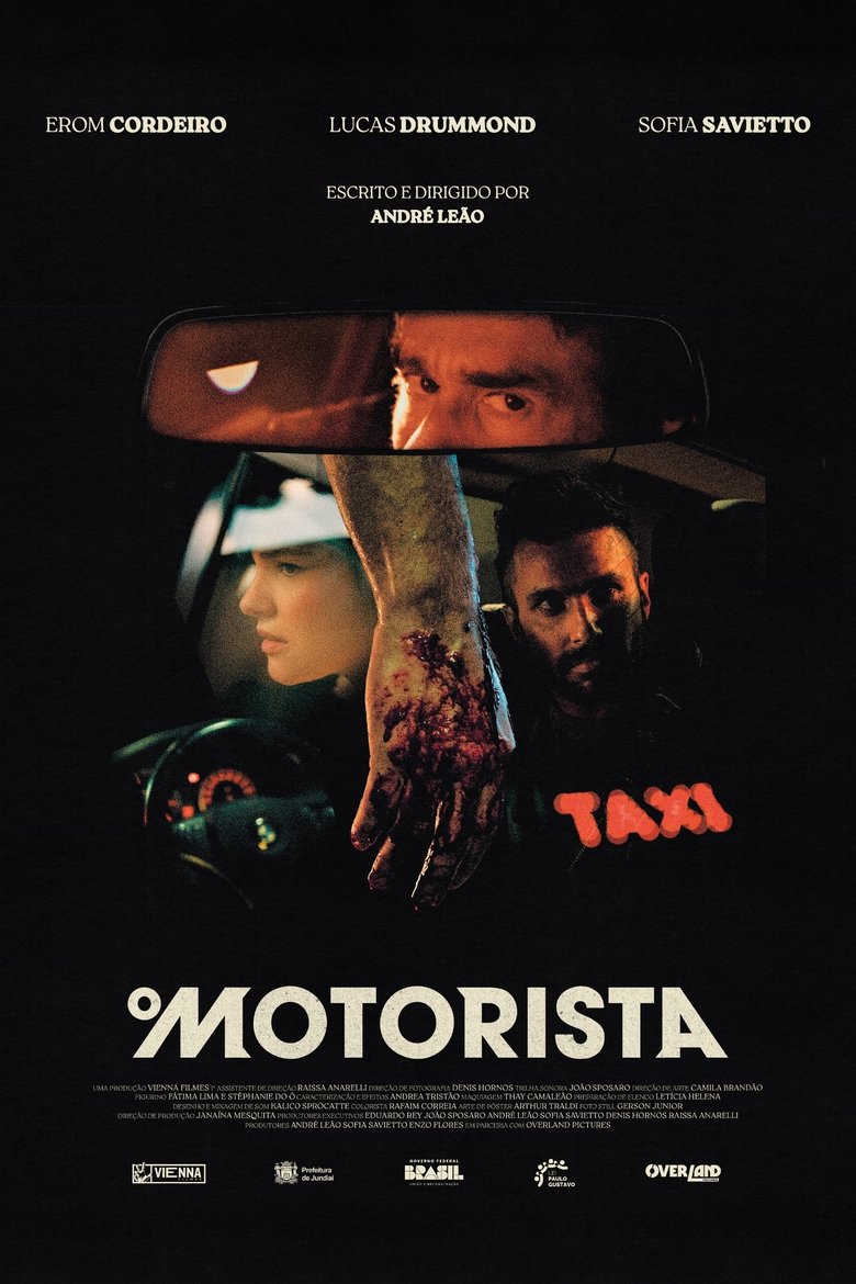 Poster of Driver