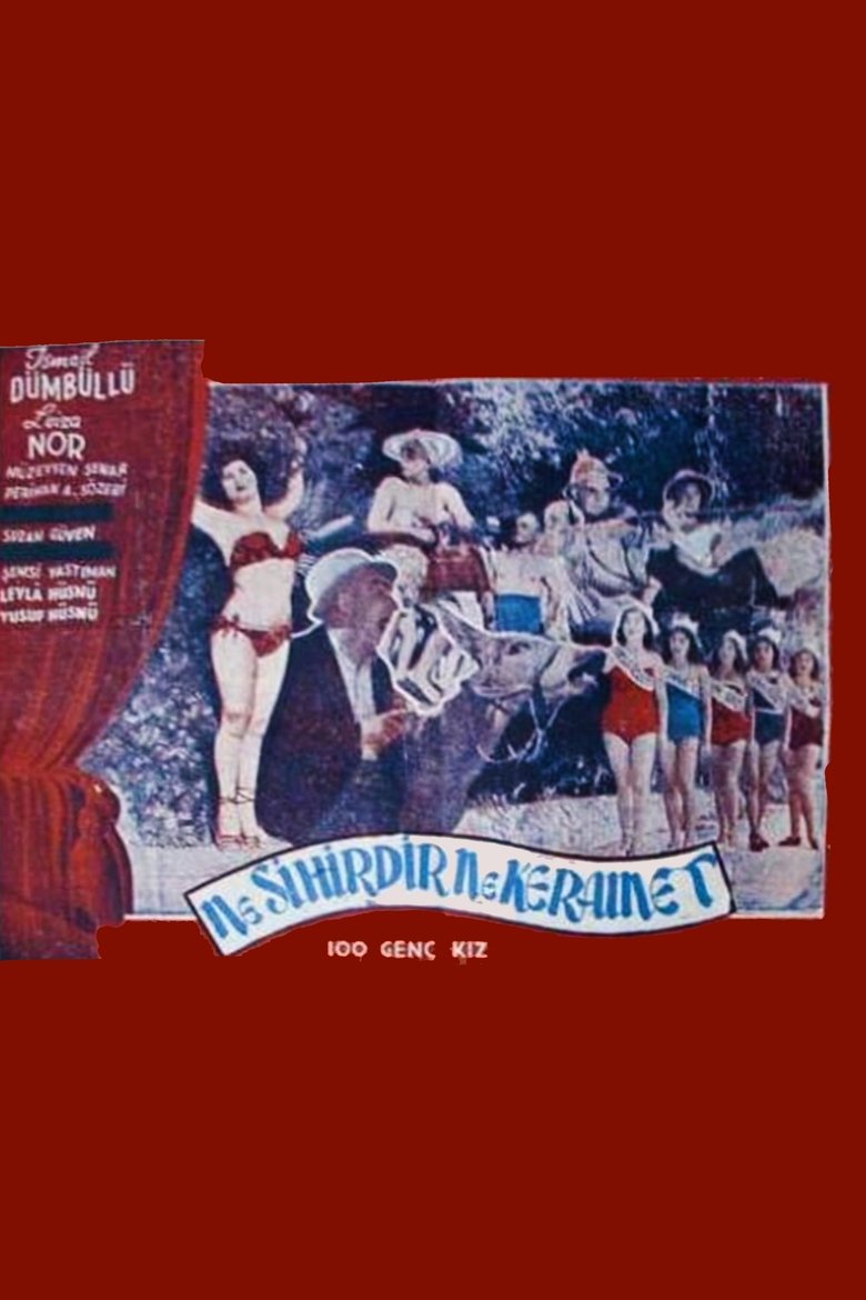 Poster of Sim Sala Bim