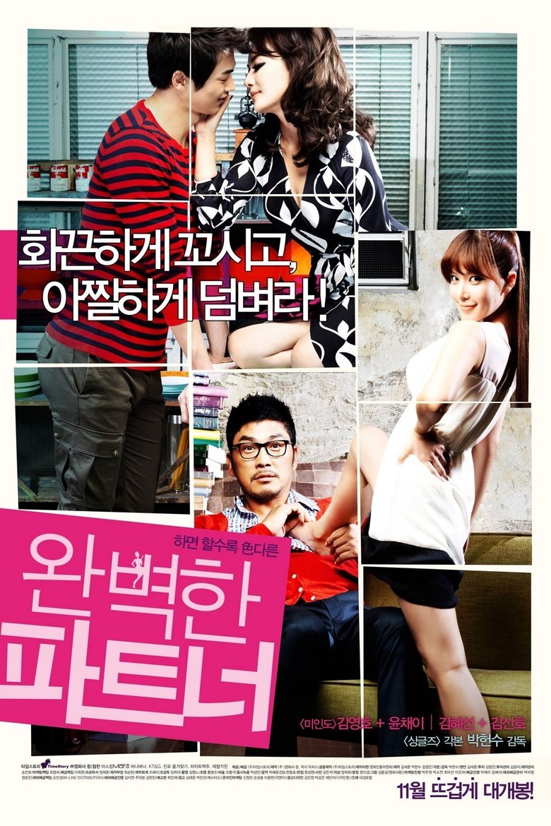 Poster of My Secret Partner