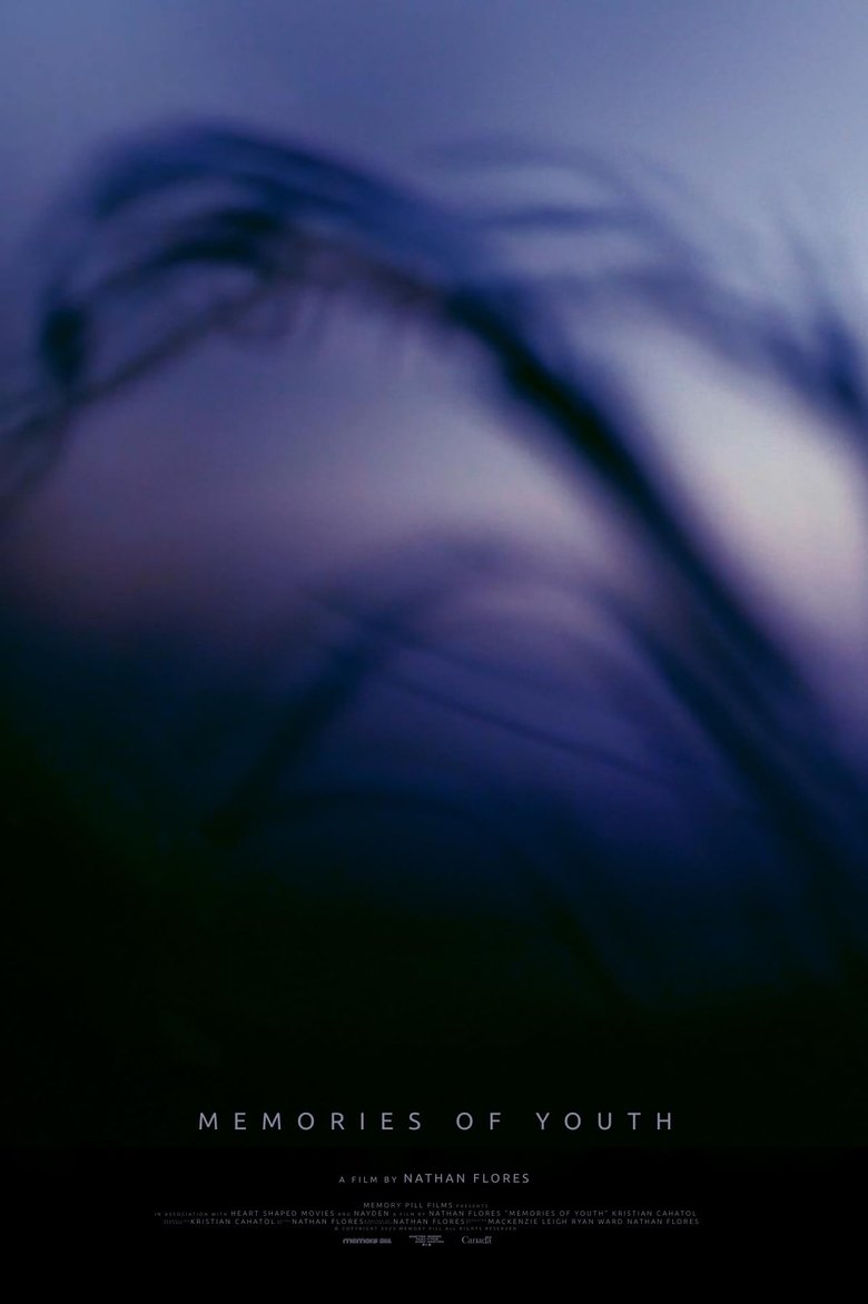 Poster of Memories of Youth