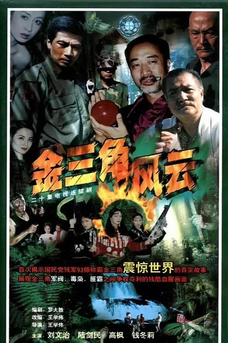 Poster of 金三角风云