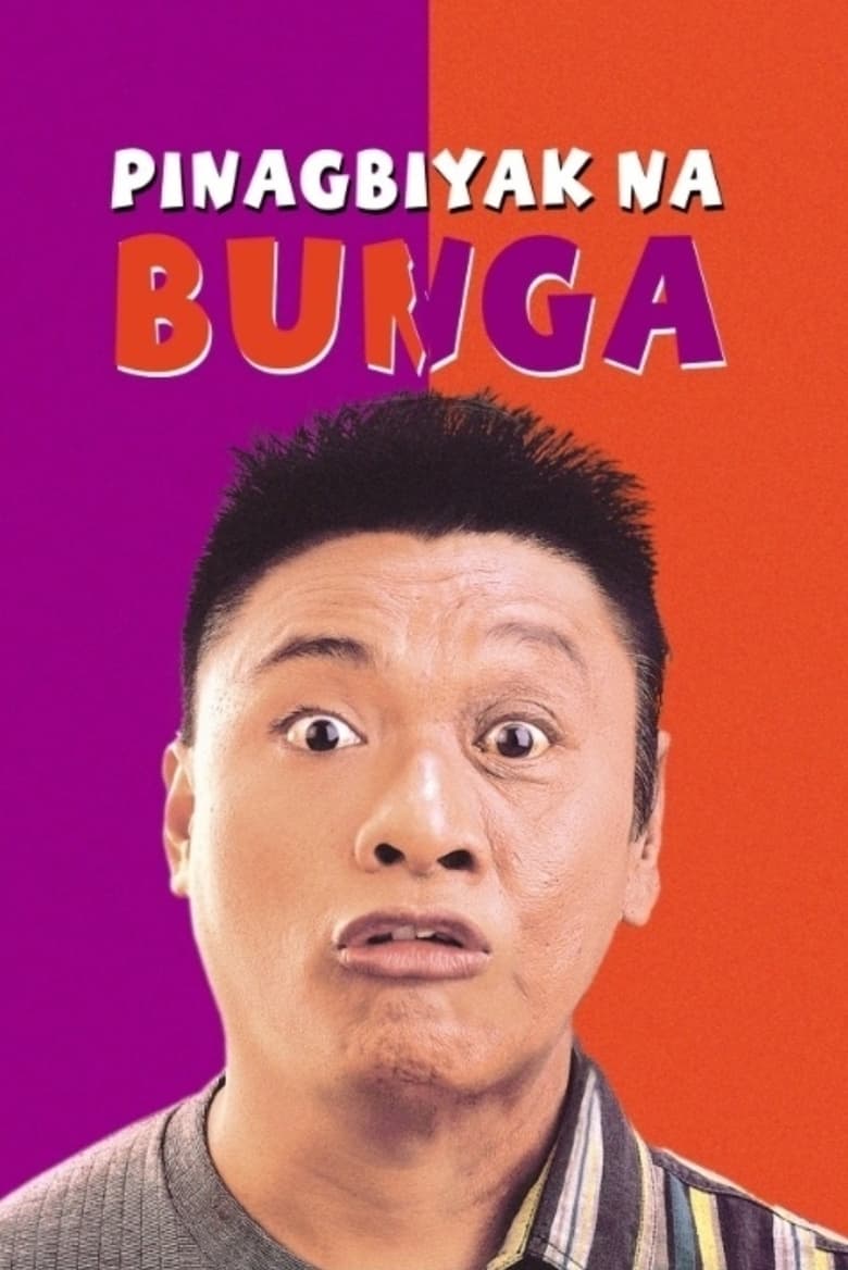 Poster of Pinagbiyak Na Bunga: Lookalayk