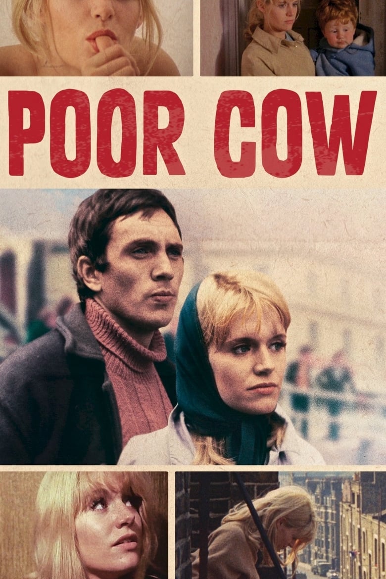 Poster of Poor Cow