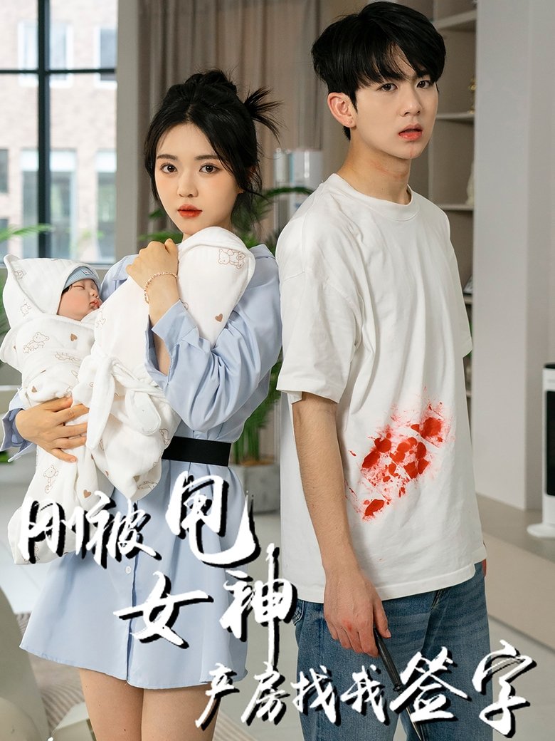 Poster of 刚被甩女神产房找我签字