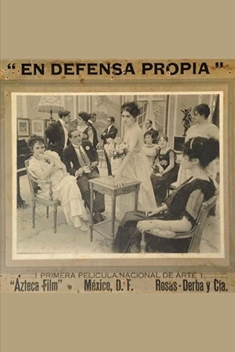 Poster of In Self Defense