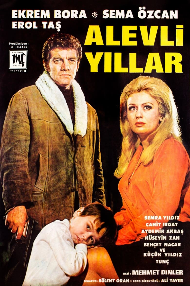 Poster of Alevli Yıllar