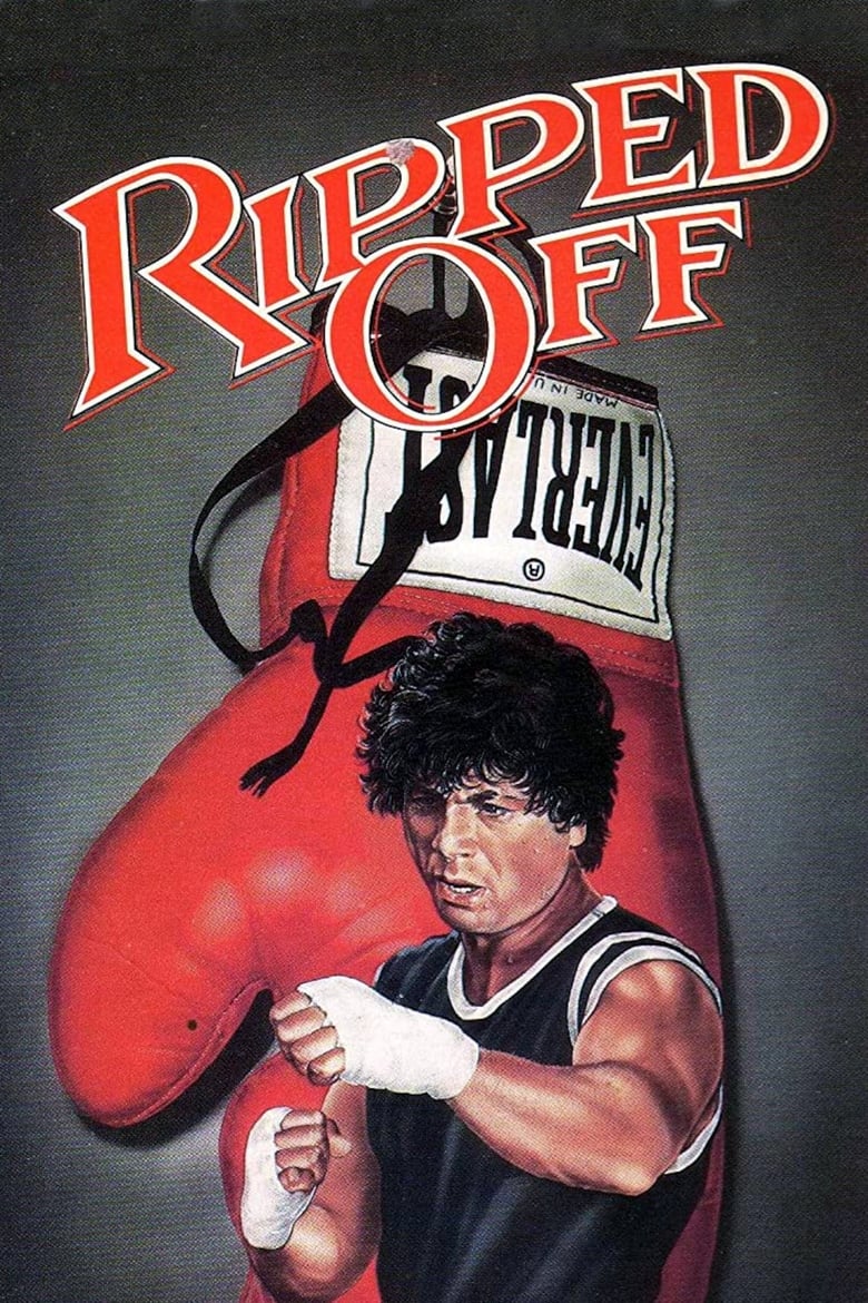 Poster of The Boxer