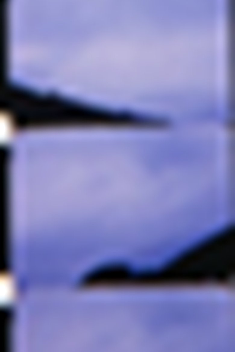 Poster of Fforest Bay