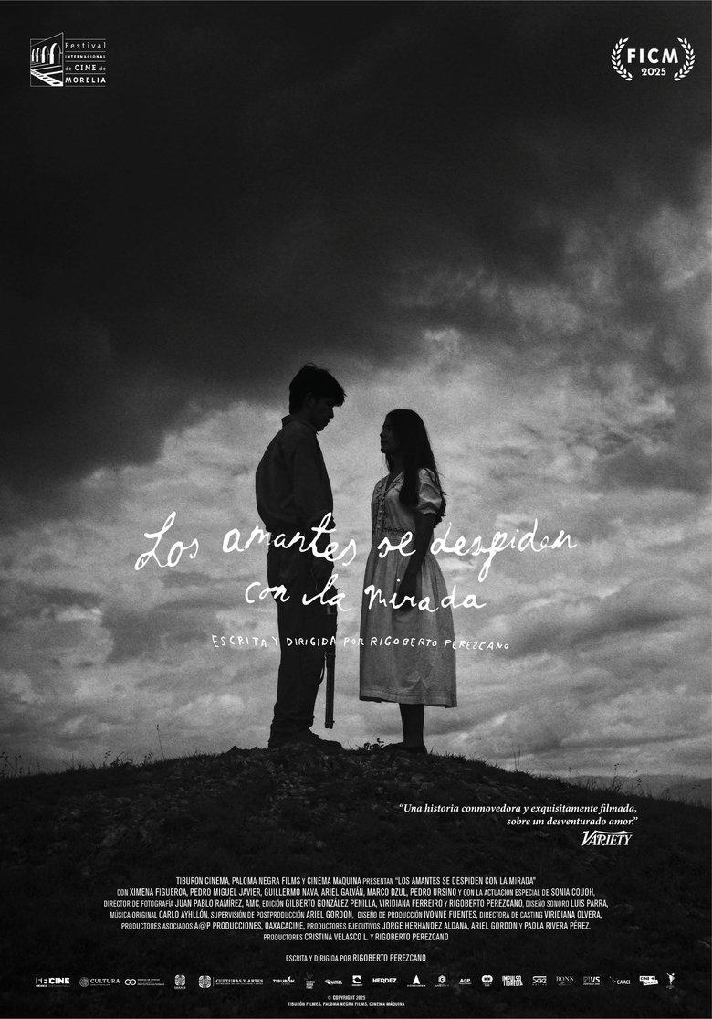 Poster of Los amantes se despiden con la mirada
