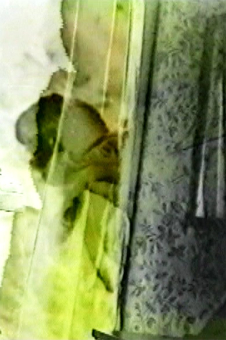 Poster of Outside In