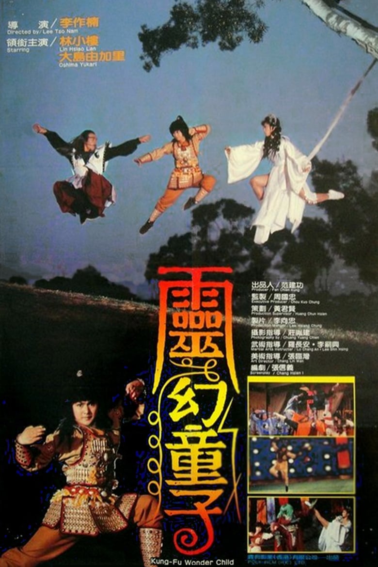 Poster of Kung Fu Wonder Child