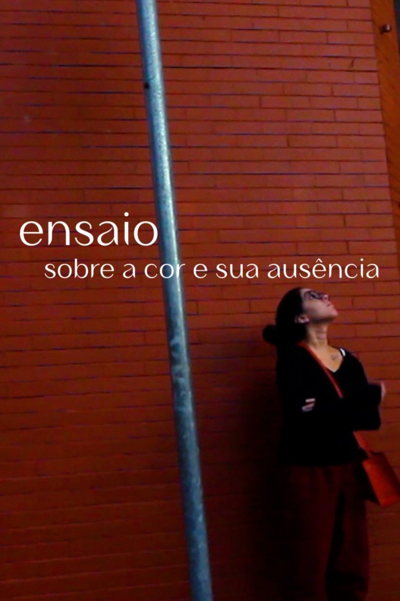Poster of Essay on color and its absence