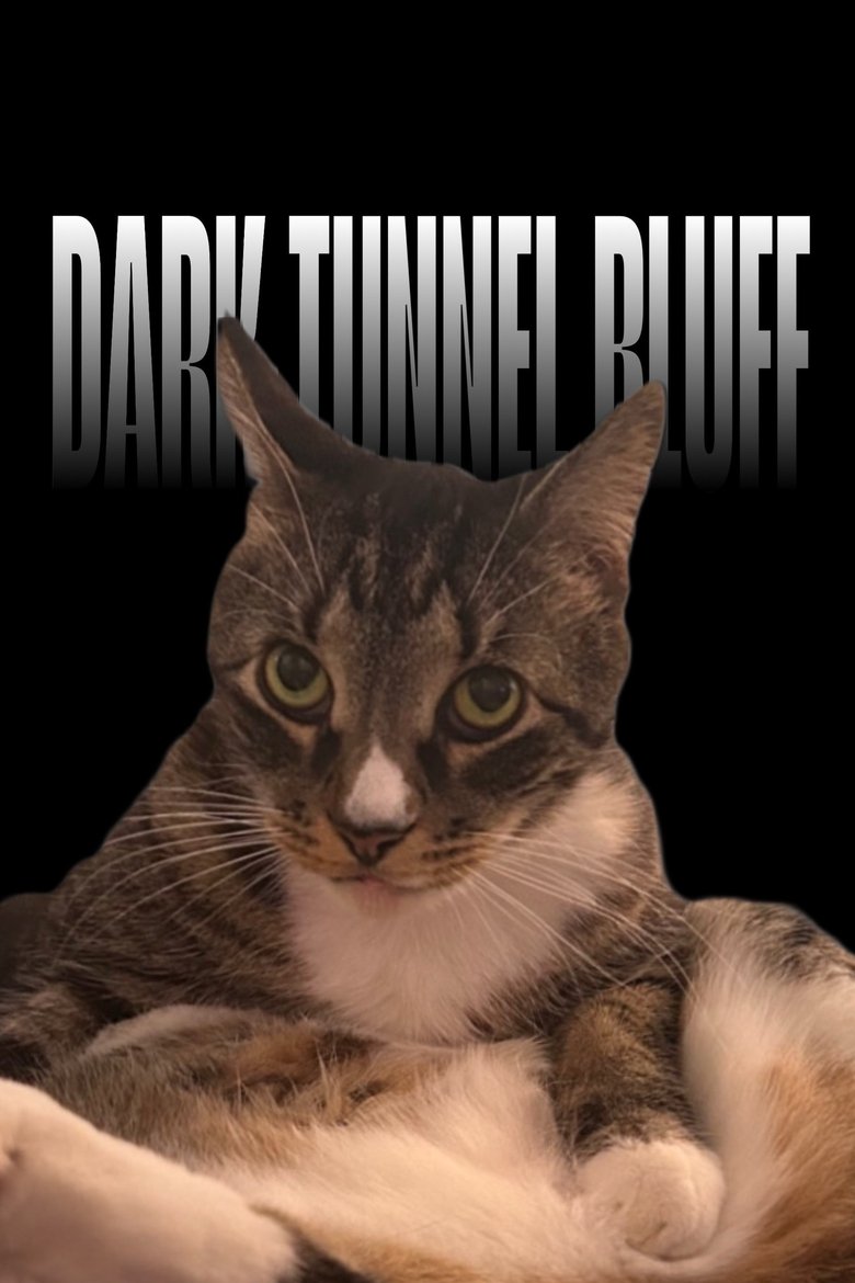 Poster of Dark Tunnel Bluff