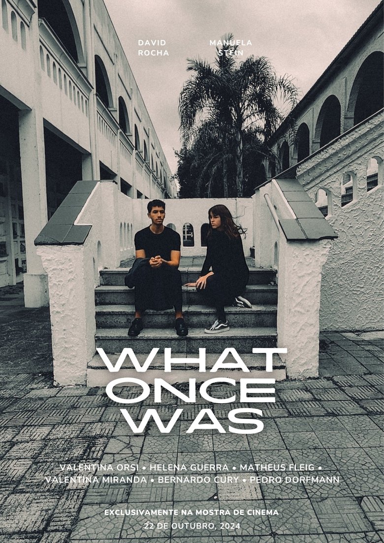 Poster of What Once Was