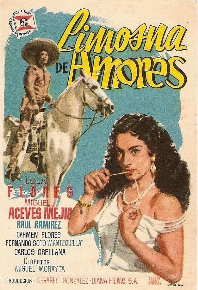 Poster of Tú y las nubes